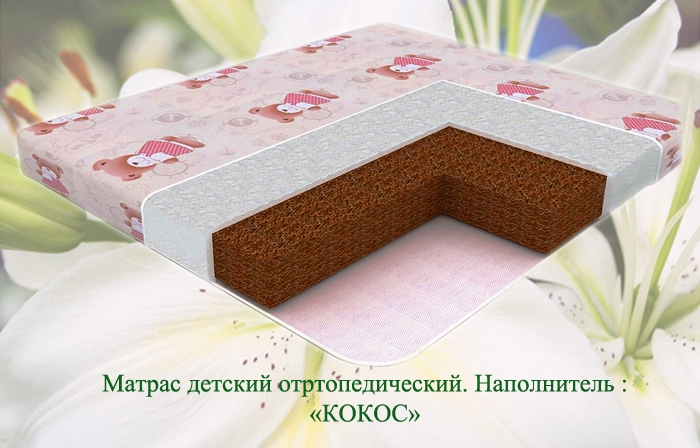 Кокос (2)
